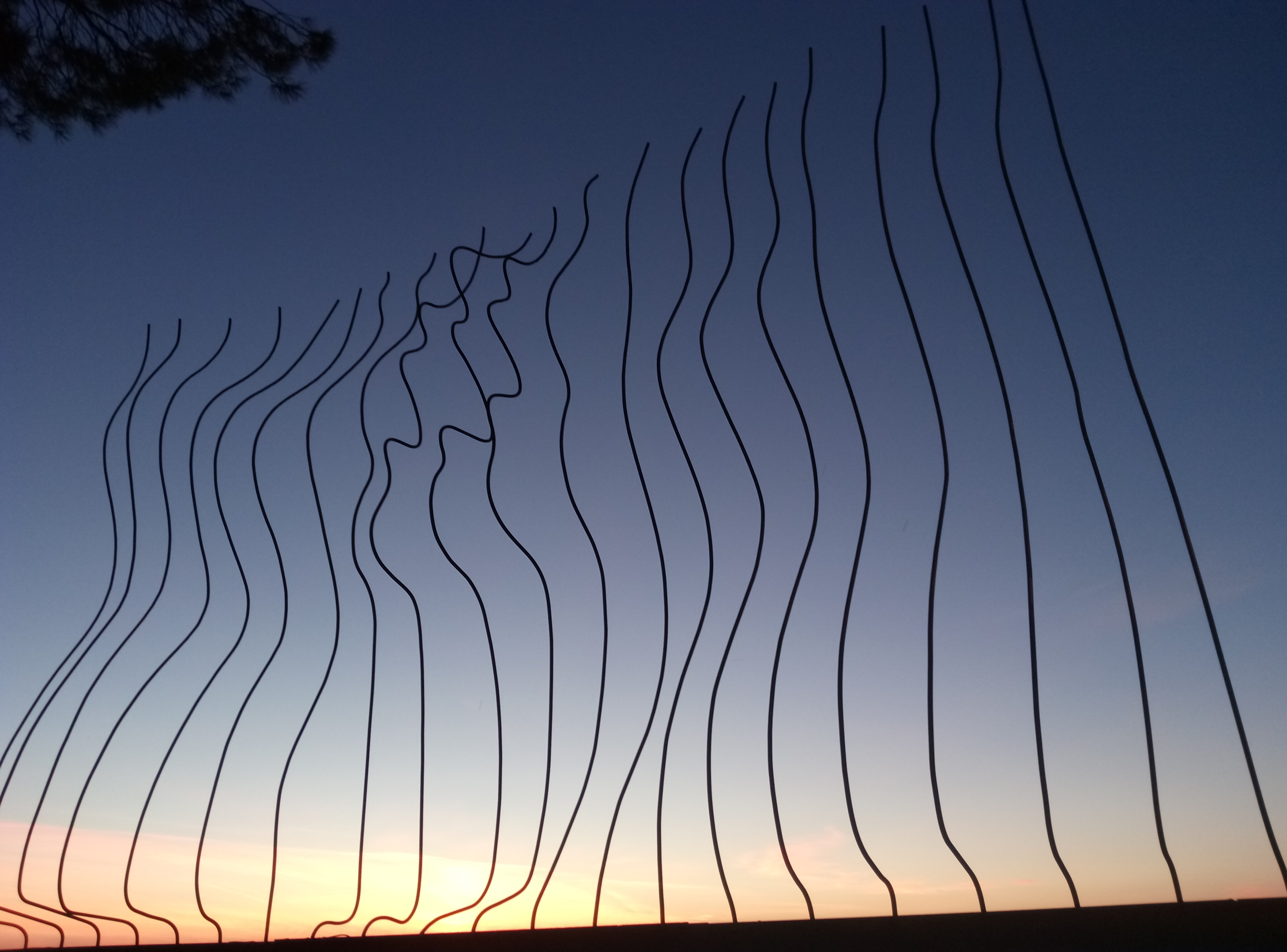 Floating Borders. Confini a galla.